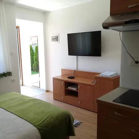 Prenocisca Iris 公寓 塞扎纳