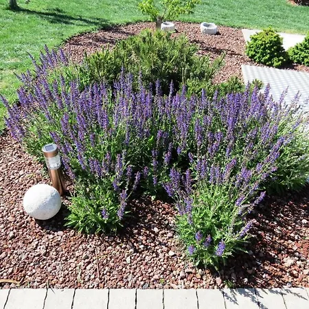 公寓 Prenocisca Iris 塞扎纳