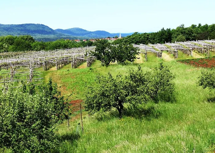 Prenocisca Iris * Sežana