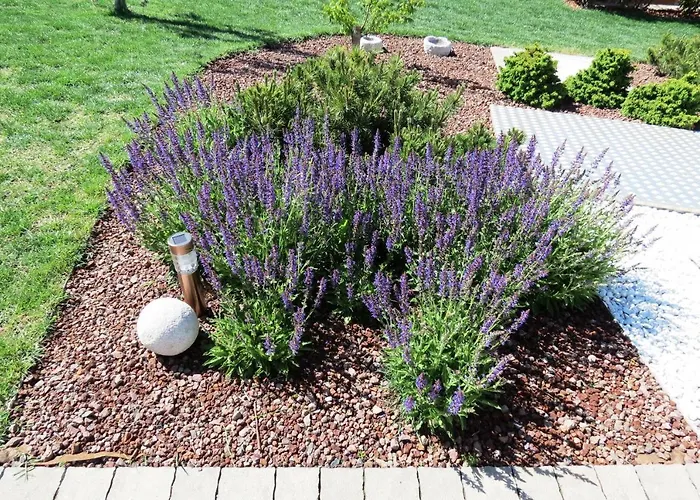 Apartman Prenocisca Iris Sežana